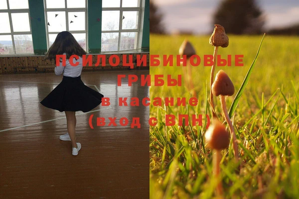 прущая мука Алзамай