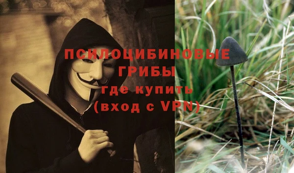 стаф Алексеевка